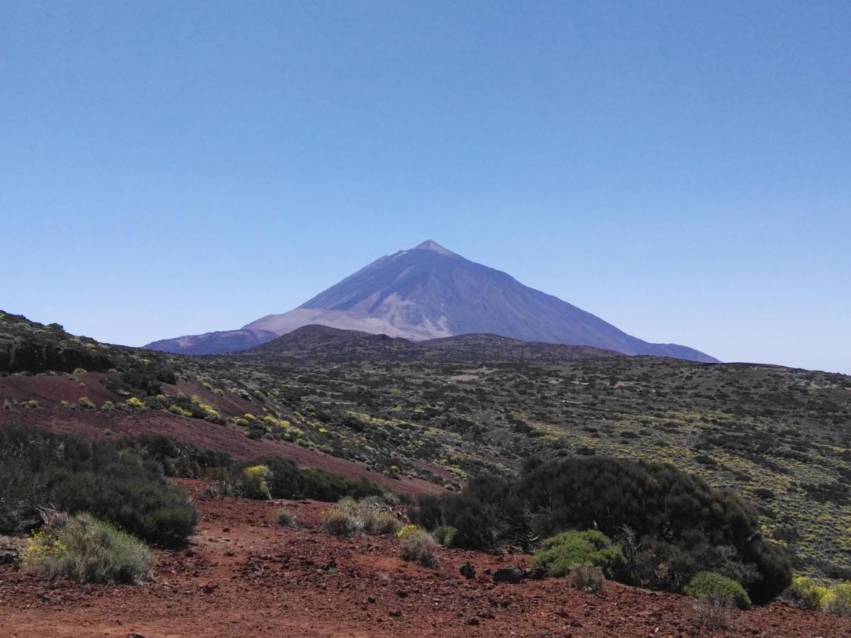 Los Diamantes Komfort Los Cristianos  Esterno foto